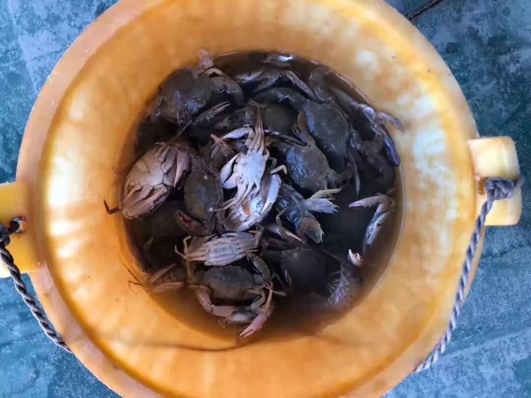 凝心聚力，LCD会员团建活动--巽寮湾之行