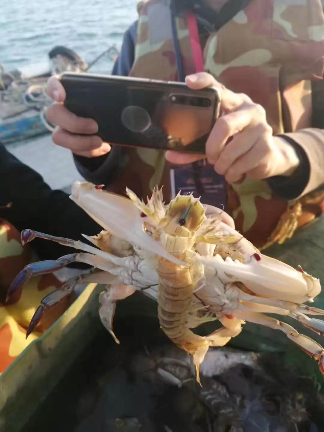 凝心聚力，LCD会员团建活动--巽寮湾之行