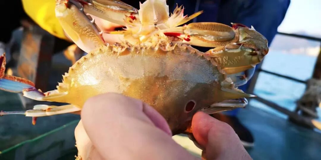 凝心聚力，LCD会员团建活动--巽寮湾之行