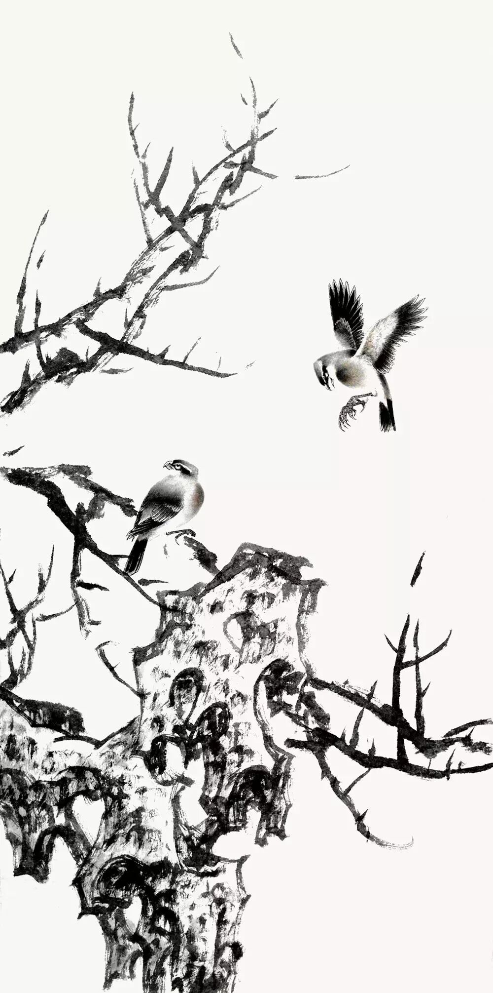 【中国书画报书画课堂】 国画技法讲座·半工半写花鸟画技法(二)