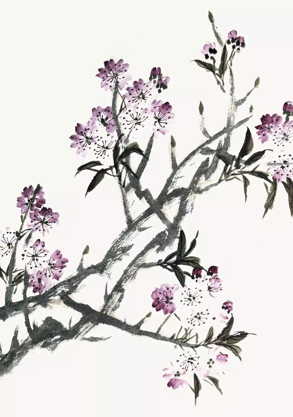 【中国书画报书画课堂】 国画技法讲座·半工半写花鸟画技法(二)