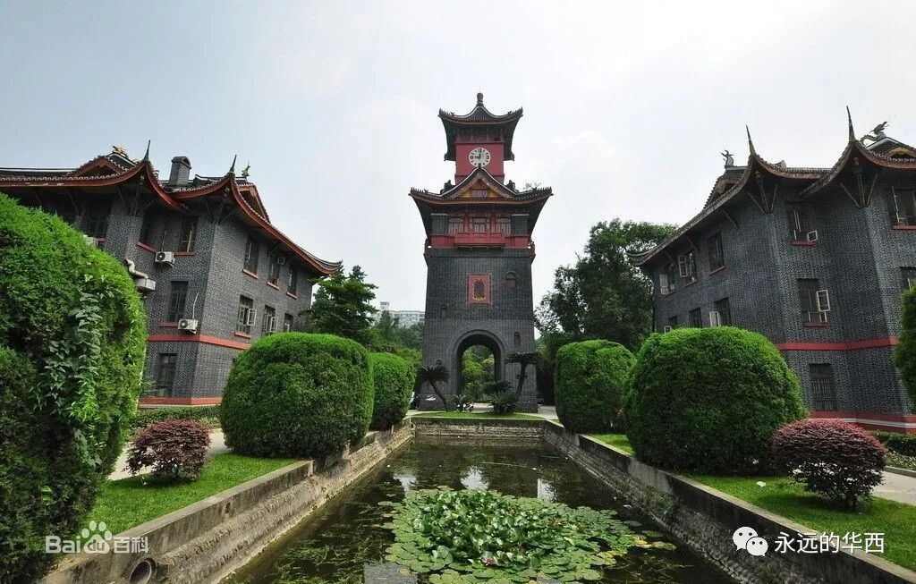 sp管在医学上什么管我和“标准化病人”（SP）项目的不解之缘_https://www.jmylbn.com_新闻资讯_第11张