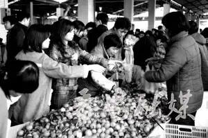 2010年腊月二十九，清河市场“四九墟”到处人山人海 （刘敏强摄）