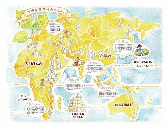 境外产区 1 印度 大吉岭红茶  尤其上品大吉岭红茶