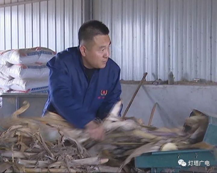 马致富画家价格_马致富画家简介图片_致富经马