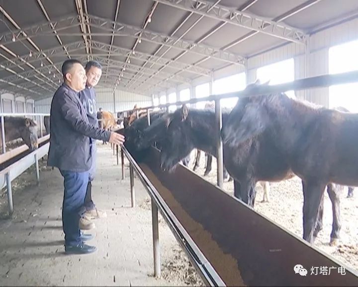 马致富画家简介图片_马致富画家价格_致富经马