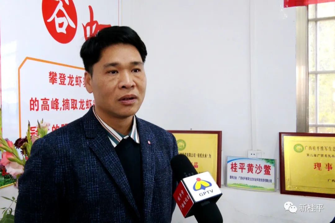 致富经虾_炒虾尾的虾是什么虾_致富虾真的