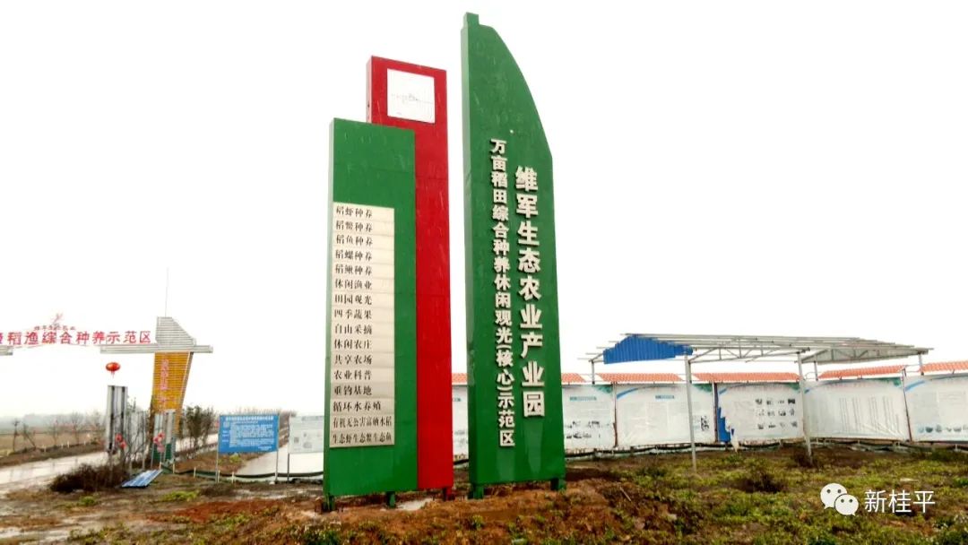 致富虾真的_致富经虾_炒虾尾的虾是什么虾