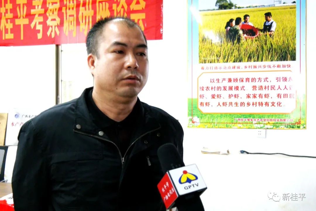 炒虾尾的虾是什么虾_致富虾真的_致富经虾