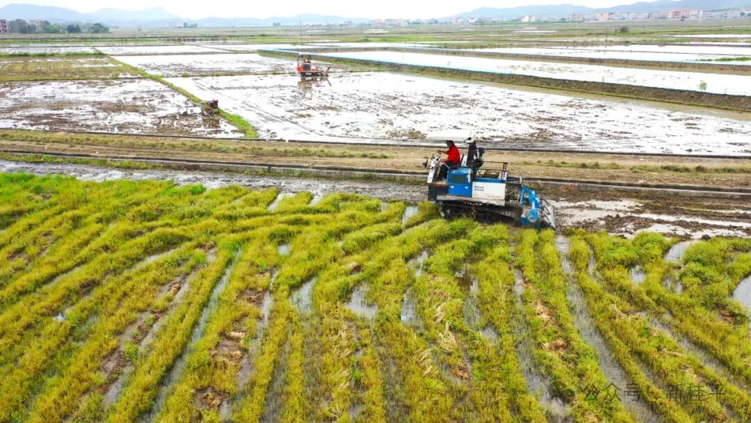 桂平:春耕加速度 农机显身手_贵港_广西壮族自治区农业农村厅