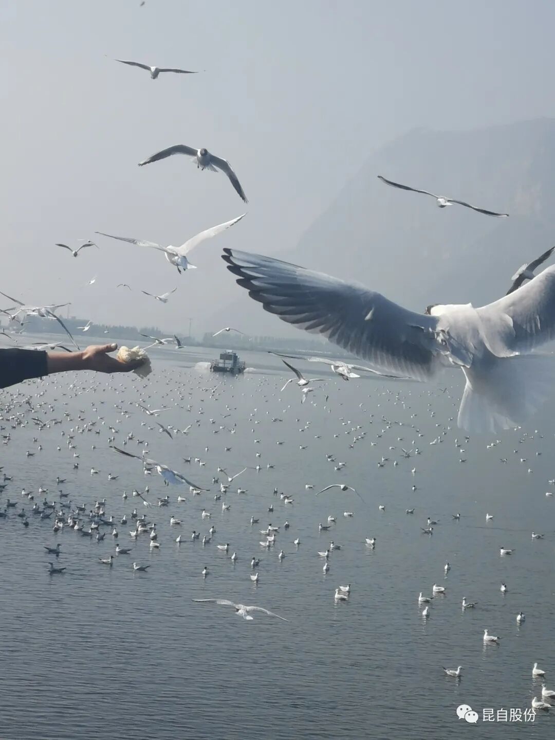 微信圖片_20200507094900