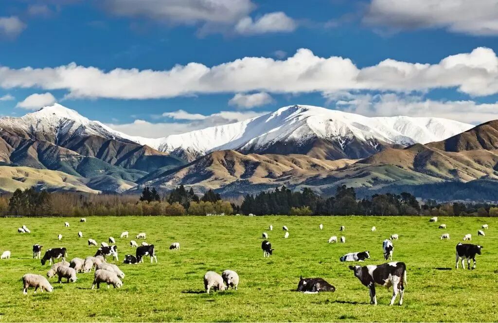 Where to Go in New Zealand in January 2026 | Flightgift
