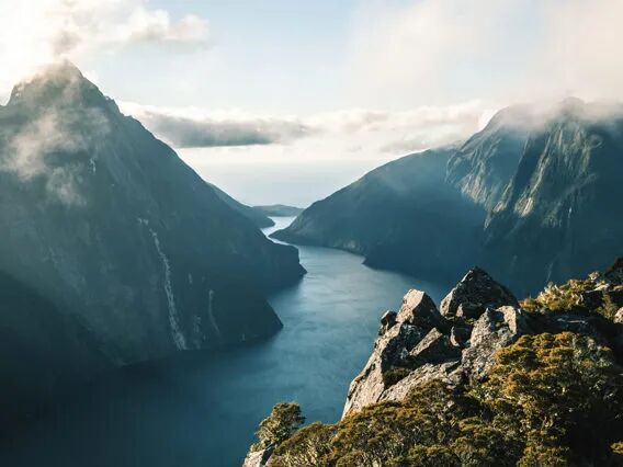 Milford Sound, New Zealand: Weather, Wildlife & Experiences | RealNZ