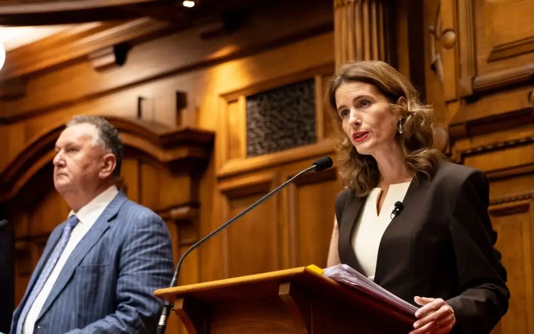 Shane Jones and Nicola Willis give energy update