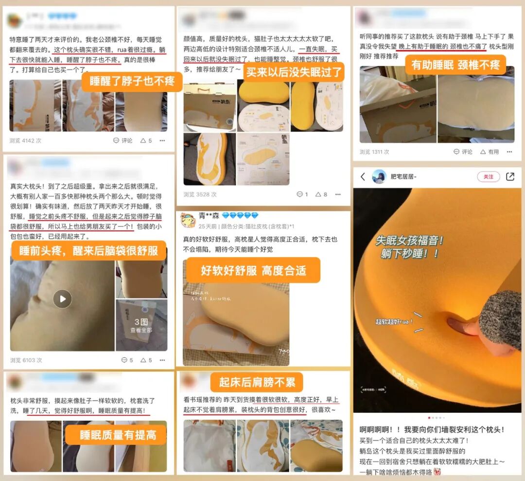 ��Ϊè��Ƥ�����Ҿ�Ȼ���˽�������һ