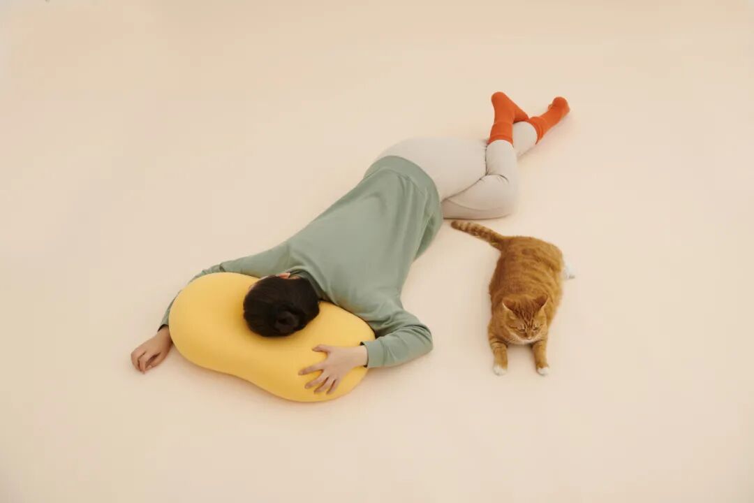 ��Ϊè��Ƥ�����Ҿ�Ȼ���˽�������һ