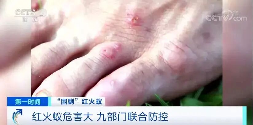 与你有关！珠海市红火蚁药剂零售门店名单来了！