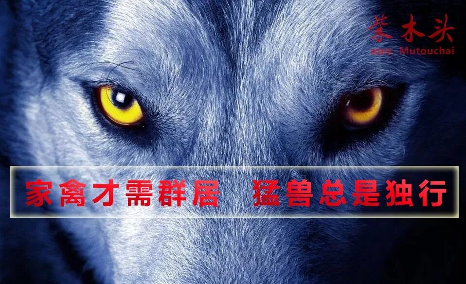 柴木头：别再混日子了！赶紧滚去努力！(图2)