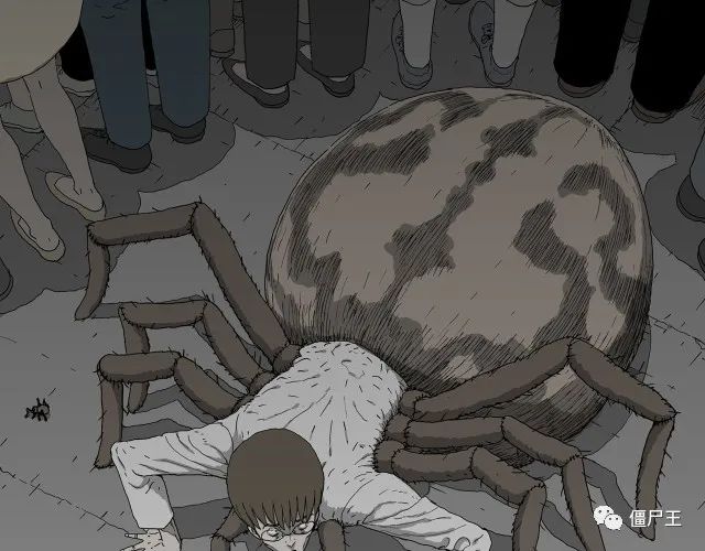 人类进化论 | 第76话 蜘蛛男（十六）
