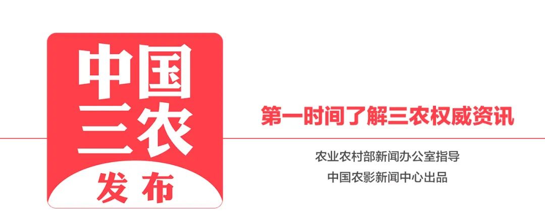 彩礼15万属于什么水平