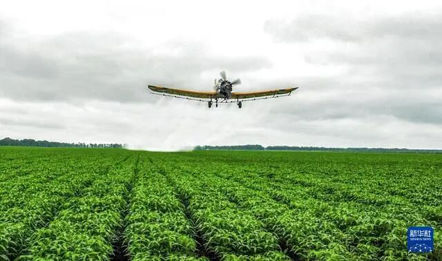 北大荒集团航化作业忙