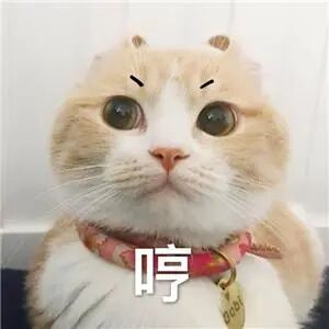 【6/16更新】CAD怎樣自定義快捷鍵？原來只要這樣設(shè)置一下就可以了的圖2