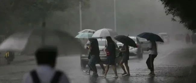 刚刚生效！大暴雨+7级阵风来了，东莞发布台风预警！