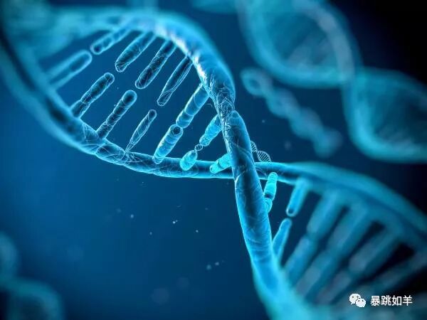 640?wx_fmt=jpeg&tp=webp&wxfrom=5&wx_lazy=1&wx_co=1