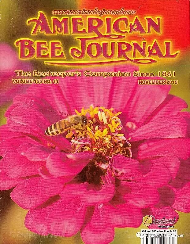 A E A Scs A Eœœ 2 I Sc Za Eœœeœ Ae A Bee The Best