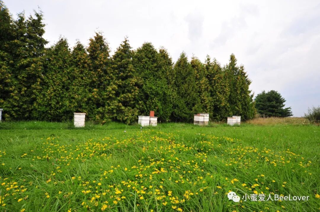 C Za A E Ae Ae Eœœ Bee The Best