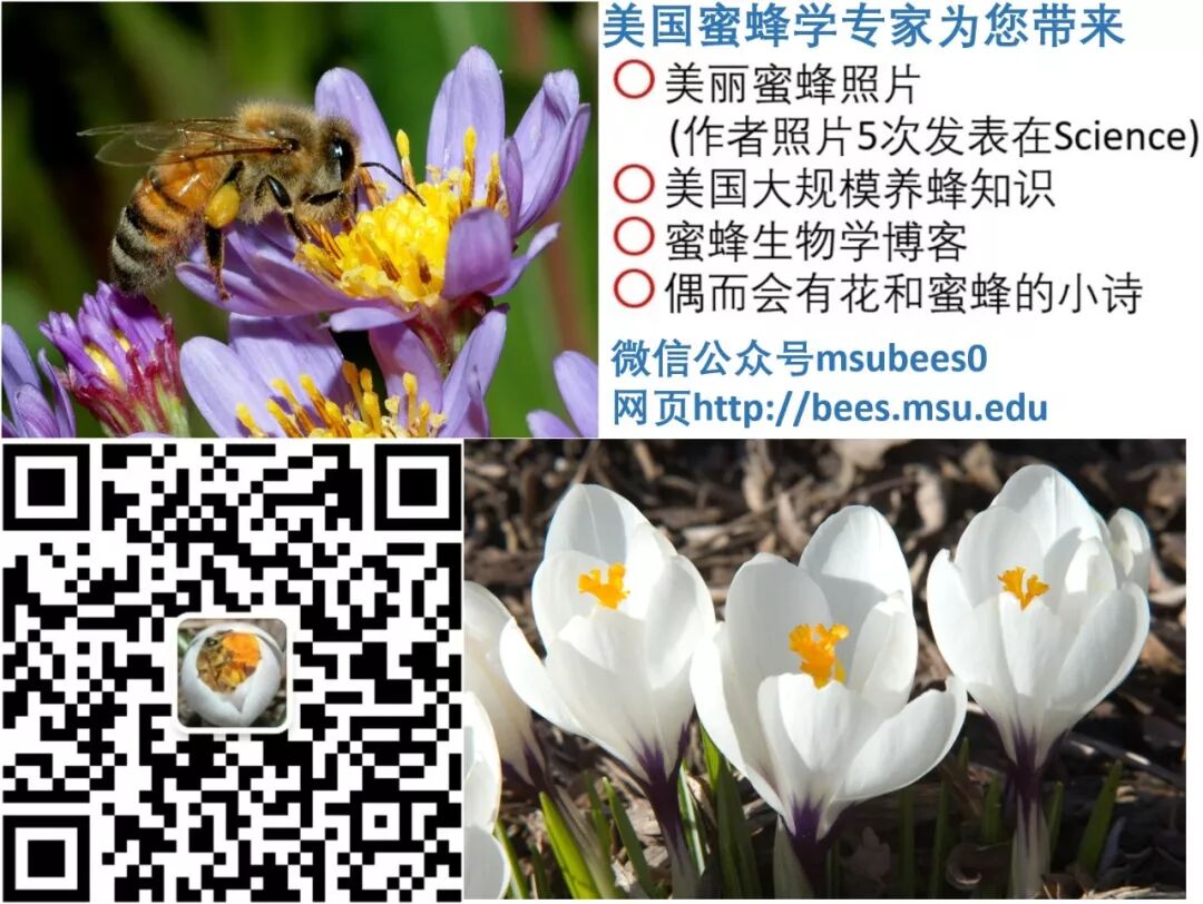 A E Zes A Eœœi œa E ˆc Eœ Eœœa Sa Bee The Best