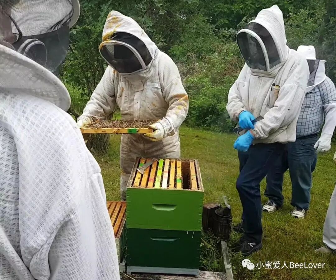 A A A Eœ Cz Bee The Best