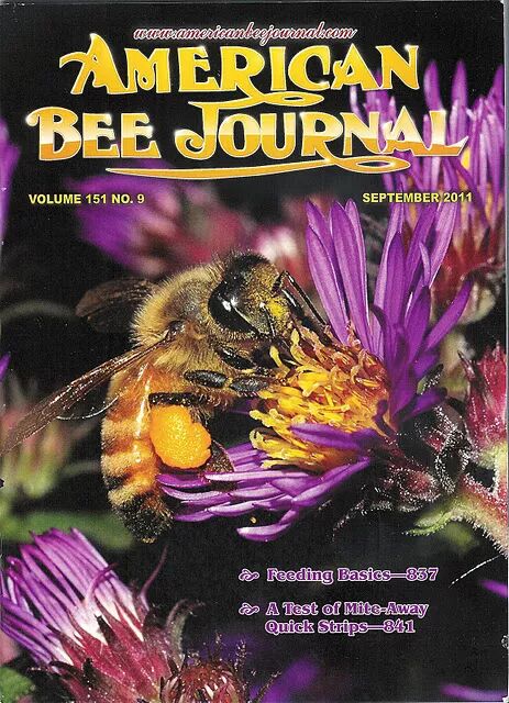 A E A Scs A Eœœ 2 I Sc Za Eœœeœ Ae A Bee The Best