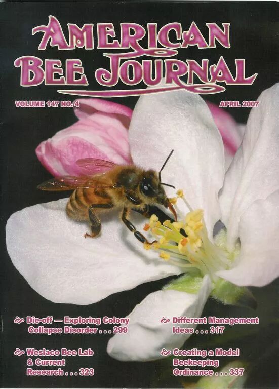 A E A Scs A Eœœ 2 I Sc Za Eœœeœ Ae A Bee The Best