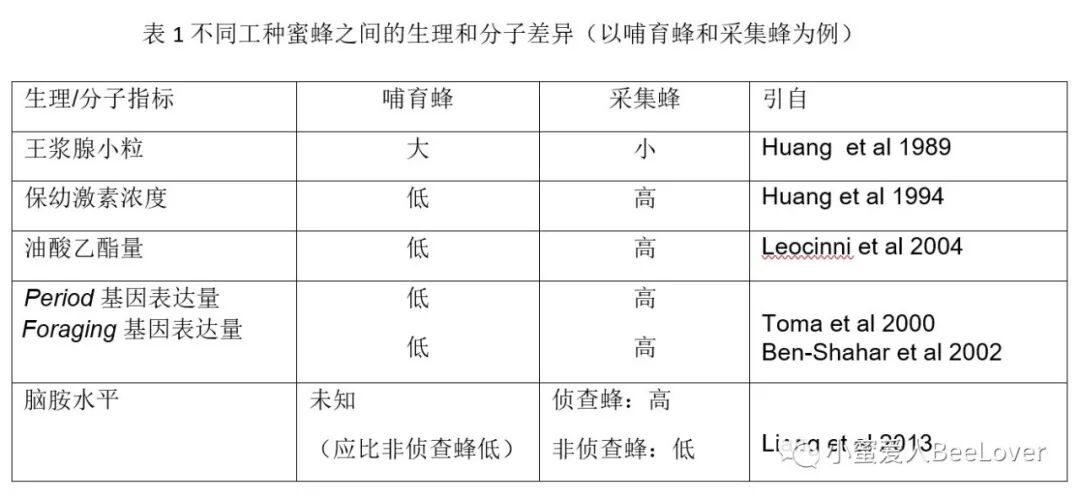 2 Eœ Cz Ae Ae Za ˆc Aeˆ Cs Bee The Best