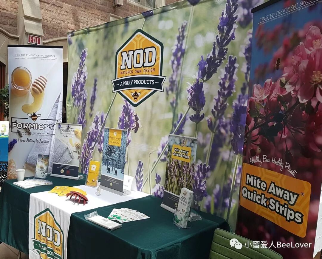 18c Za A E Eƒ Eœœeœ A Se Bee The Best