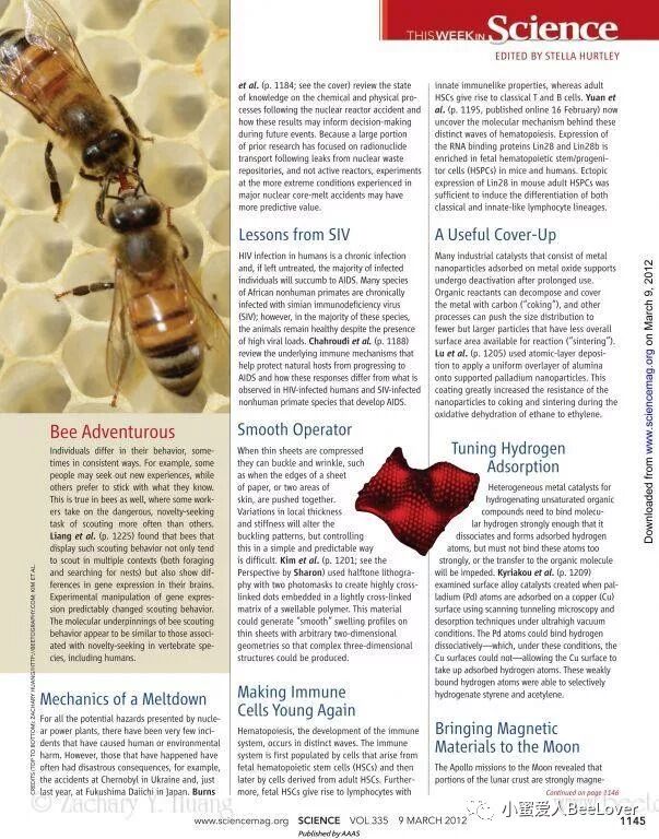 A E A Scs A Eœœi ˆ3i Bee The Best