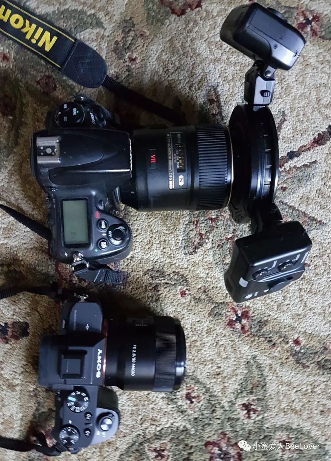 C A A A E Aeœº Bee The Best