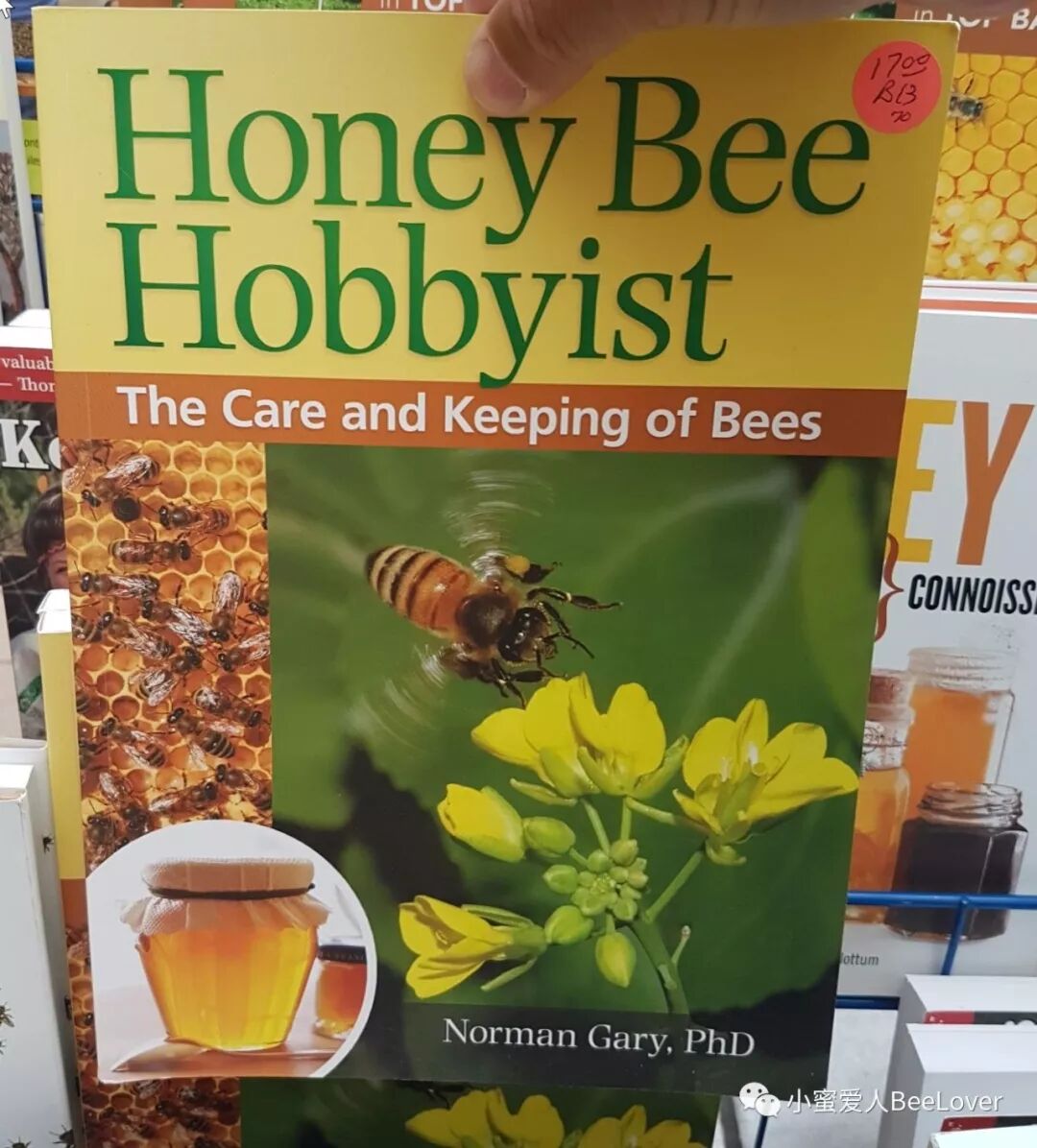 18c Za A E Eƒ Eœœeœ A Se Bee The Best