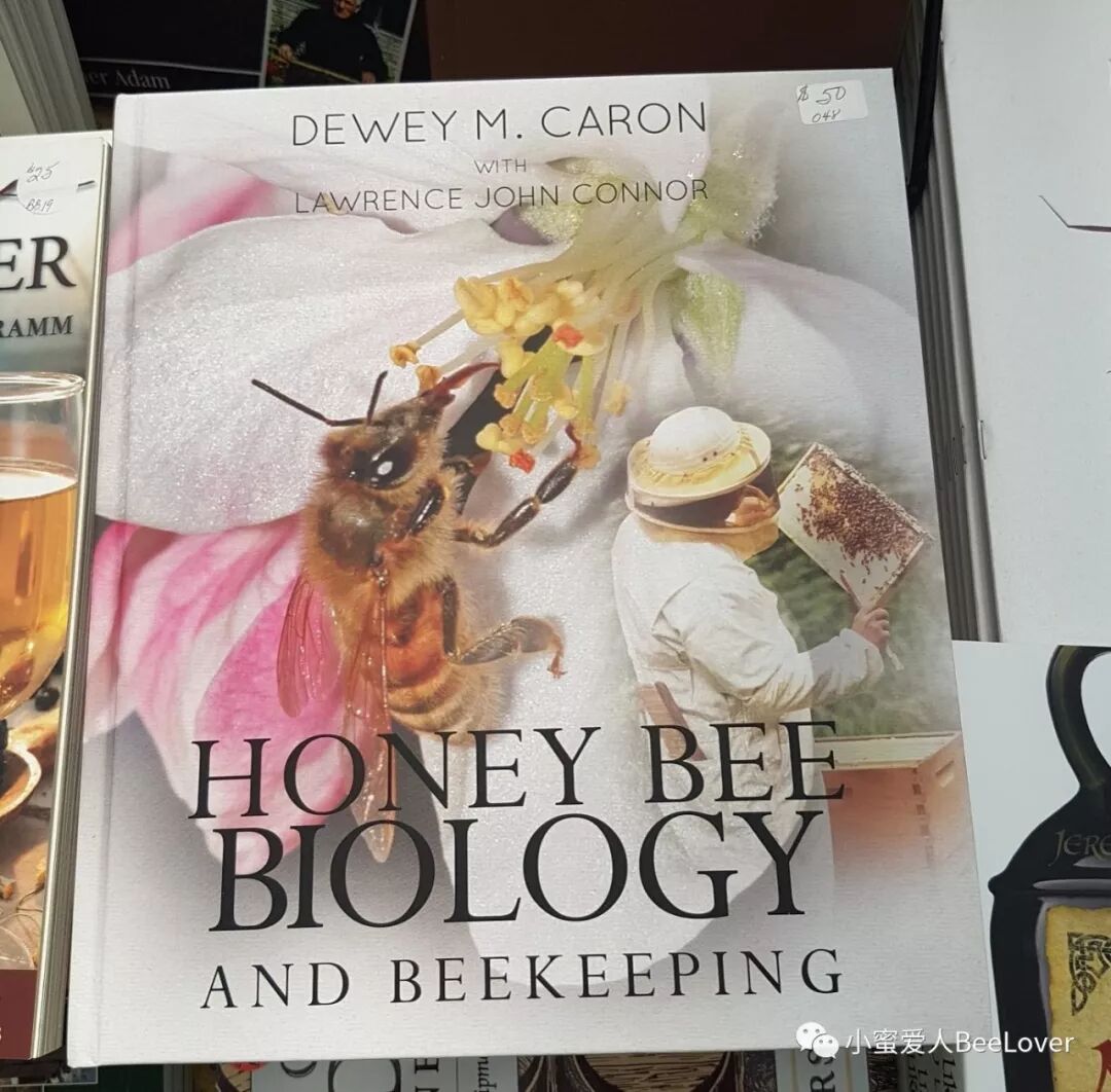 18c Za A E Eƒ Eœœeœ A Se Bee The Best