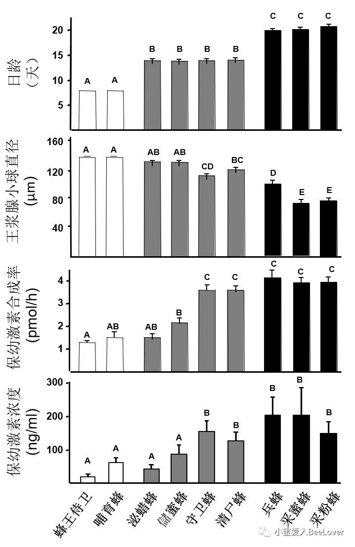 Bee The Best Passion For Bees Compassion For Beekeepers Page 49