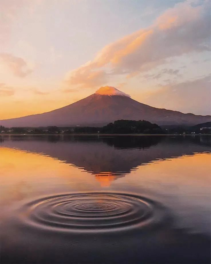 640?wx_fmt=jpeg&tp=webp&wxfrom=5&wx_lazy=1&wx_co=1