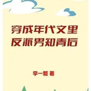 《穿成年代文里反派男知青后》苏瑾 李东阳 全文阅读txt【完结】