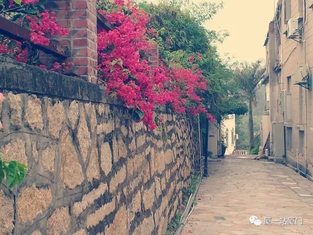 台北旅館推薦 / 金象旅遊 ·客運北站 ·戀上廈門 | 鼓浪嶼 南普陀 白鷺洲半自助雙飛五日遊 旅遊 第3張