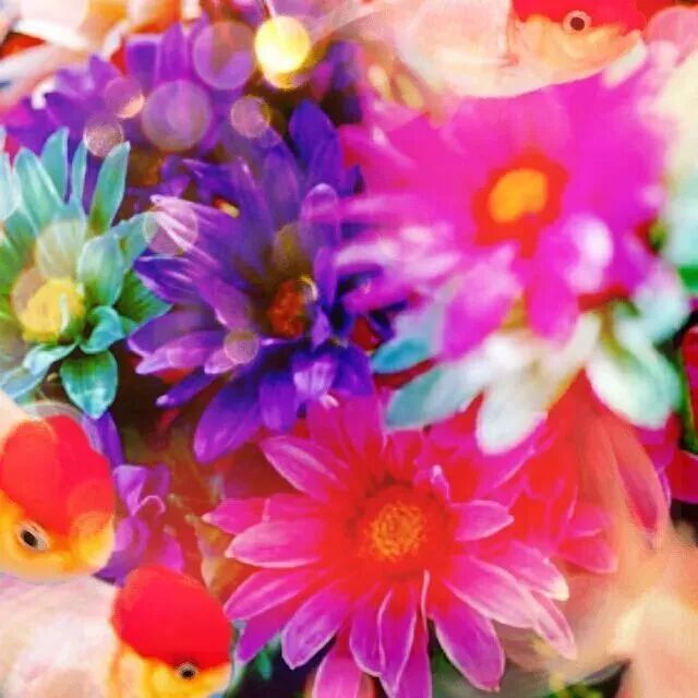 五彩斑斓和绚丽迷幻的婚礼，究竟是什么样子的？