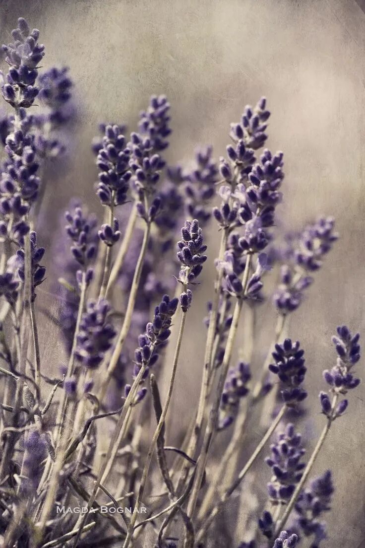 阳气是最好的良药，做好这6点，阳气通了，虚寒好了，气血足了