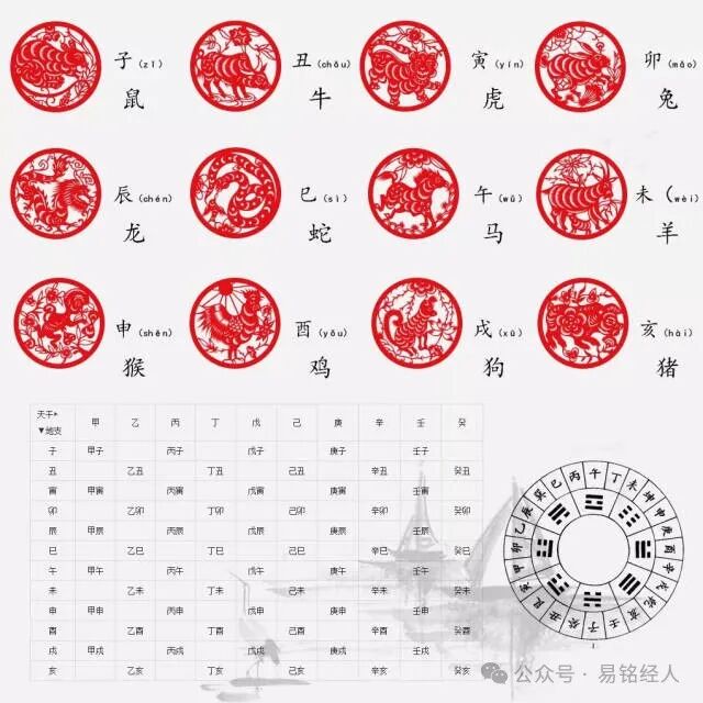 生肖划分谁说了算揭开你的生肖真身之谜