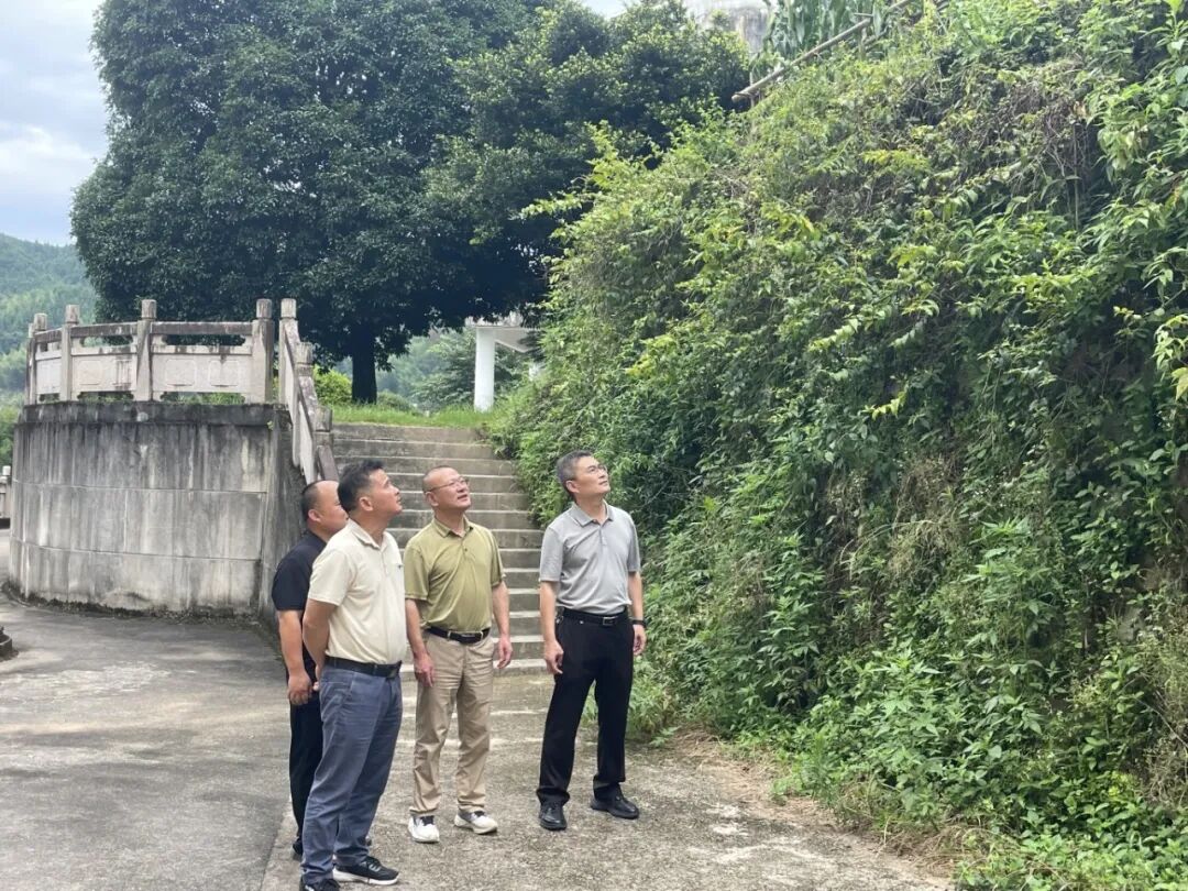 深入一线督导检查 筑牢林区台风安全防线