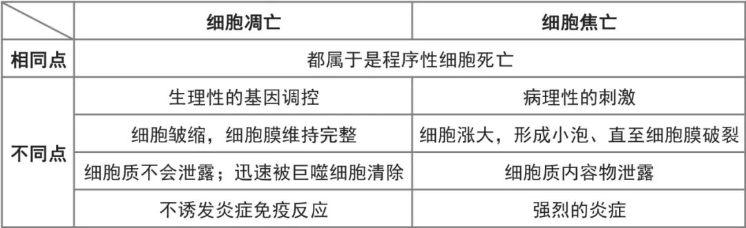 细胞焦亡经典途径和非经典途径