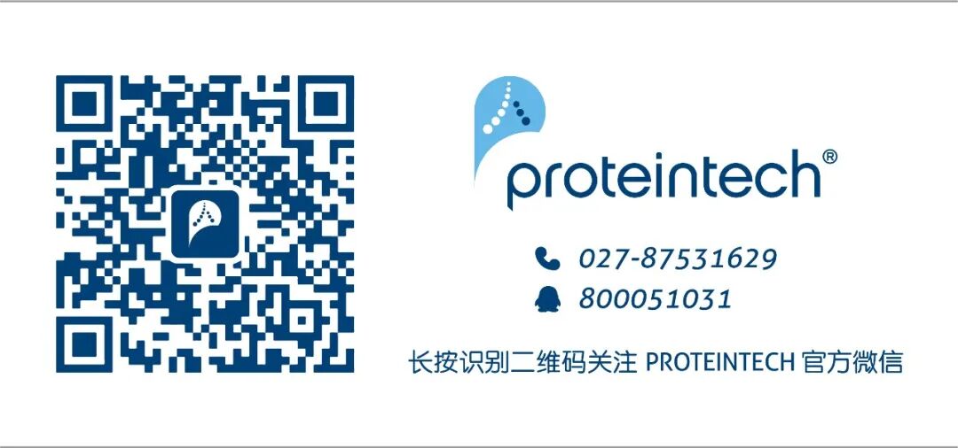 细胞焦亡经典途径和非经典途径